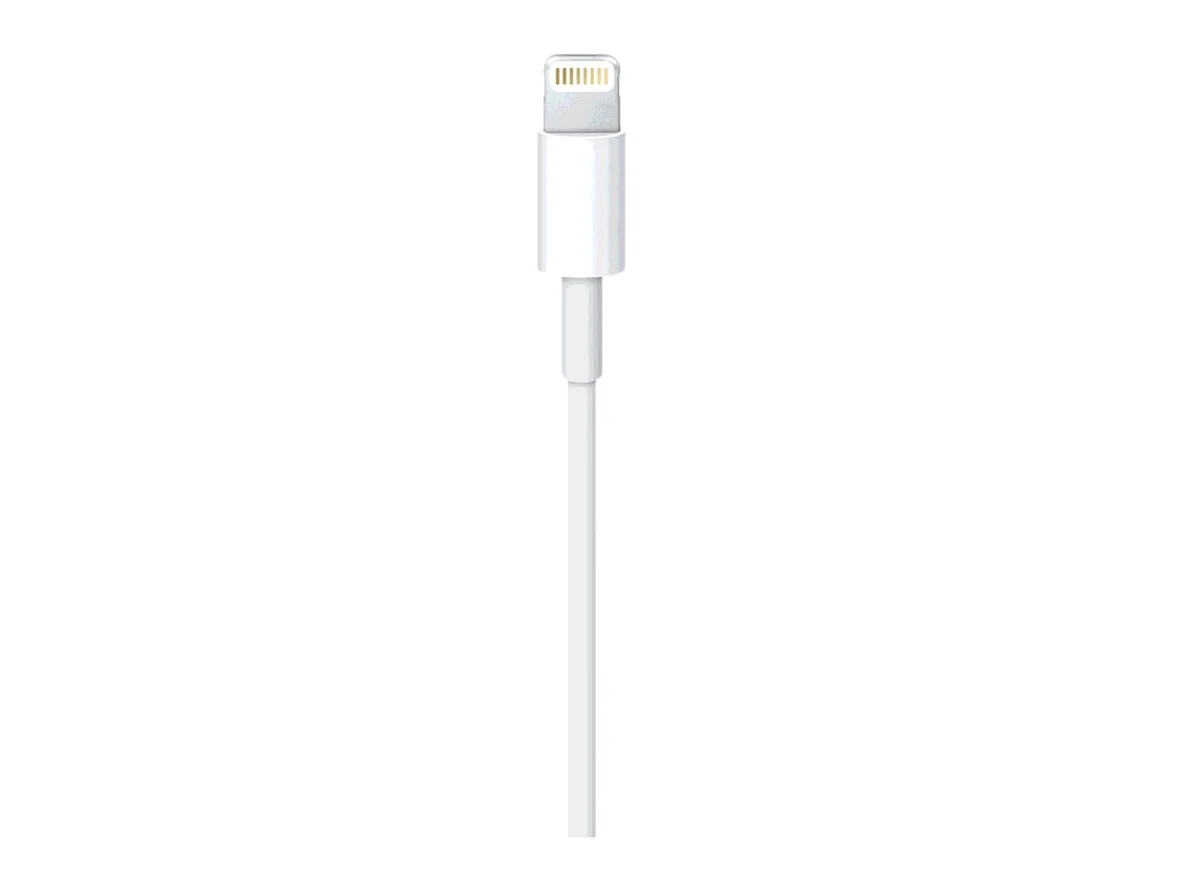 Дата-кабель Apple Type-A 2m